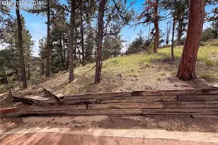 144 Dandy Jim Dr, Cripple Creek, CO 80813 - Photo 27