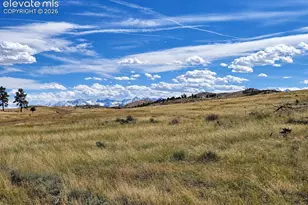85 Pine Valley Rd, Cotopaxi, CO 81223 - Photo 1
