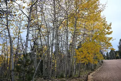 1020 Princess Road, Cripple Creek, CO 80813 - Photo 7