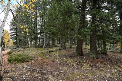1020 Princess Road, Cripple Creek, CO 80813 - Photo 3