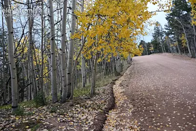 1020 Princess Road, Cripple Creek, CO 80813 - Photo 5