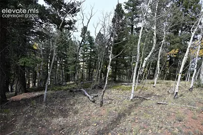 1020 Princess Road, Cripple Creek, CO 80813 - Photo 11