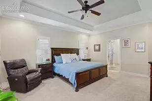 16681 Curled Oak Dr, Monument, CO 80132 - Photo 19