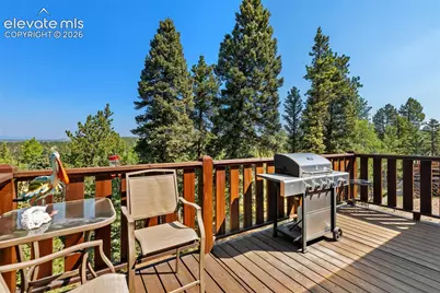 69 Cody Creek Trail, Divide, CO 80814 - Photo 13