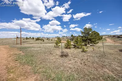 333 Golden Grain Lane, Divide, CO 80814 - Photo 13