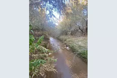 14 Ghost River Ranch Na, Walsenburg, CO 80189 - Photo 3