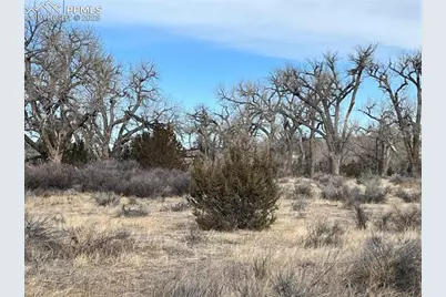 14 Ghost River Ranch Na, Walsenburg, CO 80189 - Photo 7