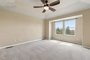 5011 Petrified Forest Trail, Colorado Springs, CO 80924 - Photo 29