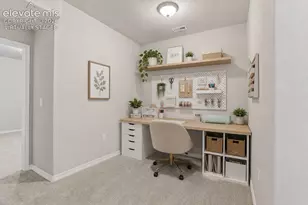 9347 Mayflower Gulch Wy, Colorado Springs, CO 80927 - Photo 41