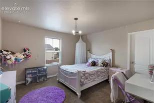 6646 Alliance Loop, Colorado Springs, CO 80925 - Photo 11
