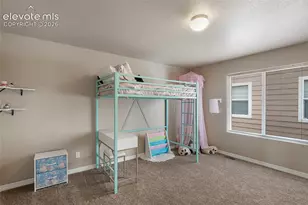 6646 Alliance Loop, Colorado Springs, CO 80925 - Photo 13