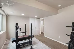 6646 Alliance Loop, Colorado Springs, CO 80925 - Photo 15