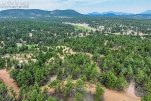 39 Reed Dr, Florissant, CO 80816 - Photo 1