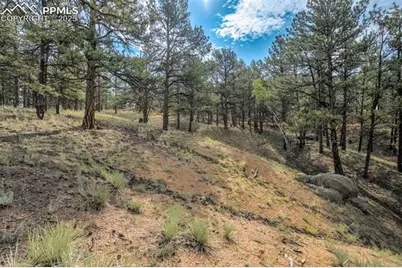 39 Reed Drive, Florissant, CO 80816 - Photo 21