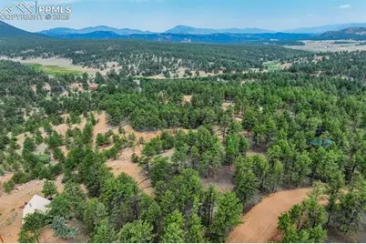 39 Reed Drive, Florissant, CO 80816 - Photo 3