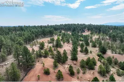 39 Reed Drive, Florissant, CO 80816 - Photo 7