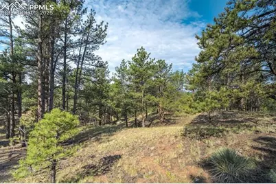 39 Reed Drive, Florissant, CO 80816 - Photo 11