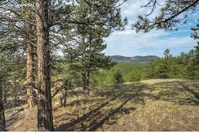 39 Reed Drive, Florissant, CO 80816 - Photo 19