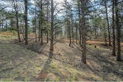 39 Reed Drive, Florissant, CO 80816 - Photo 17