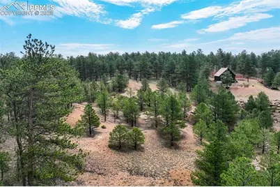 39 Reed Drive, Florissant, CO 80816 - Photo 9