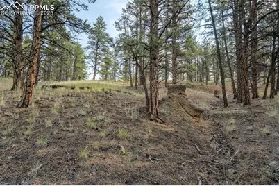 39 Reed Drive, Florissant, CO 80816 - Photo 15