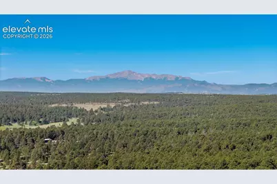 10697 Alamar Way, Colorado Springs, CO 80908 - Photo 47