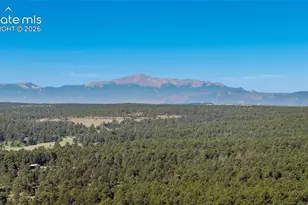 10697 Alamar Wy, Colorado Springs, CO 80908 - Photo 47