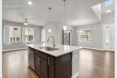 10007 Vervain View, Colorado Springs, CO 80924 - Photo 7