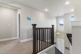10007 Vervain View, Colorado Springs, CO 80924 - Photo 31