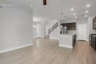 10007 Vervain View, Colorado Springs, CO 80924 - Photo 7