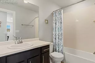 10007 Vervain View, Colorado Springs, CO 80924 - Photo 27