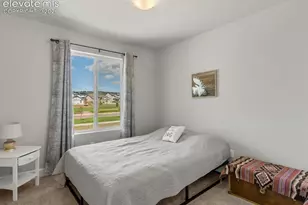 10007 Vervain View, Colorado Springs, CO 80924 - Photo 25