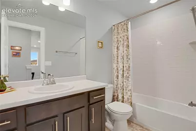 10007 Vervain View, Colorado Springs, CO 80924 - Photo 13