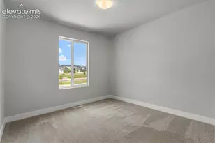 10007 Vervain View, Colorado Springs, CO 80924 - Photo 15
