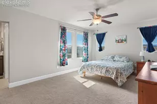 10007 Vervain View, Colorado Springs, CO 80924 - Photo 19