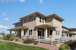 10007 Vervain View, Colorado Springs, CO 80924 - Photo 3