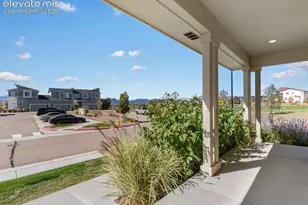 10007 Vervain View, Colorado Springs, CO 80924 - Photo 5
