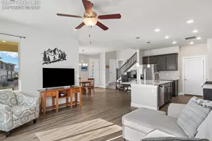 10007 Vervain View, Colorado Springs, CO 80924 - Photo 13