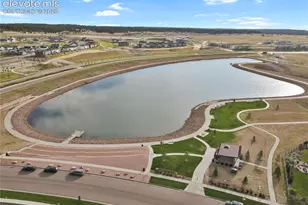 10007 Vervain View, Colorado Springs, CO 80924 - Photo 21