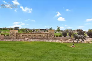 10007 Vervain View, Colorado Springs, CO 80924 - Photo 25