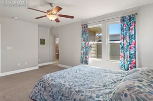 10007 Vervain View, Colorado Springs, CO 80924 - Photo 21