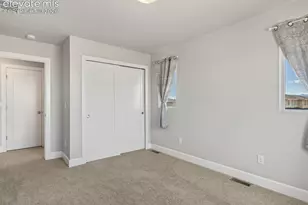 10007 Vervain View, Colorado Springs, CO 80924 - Photo 29