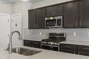 10007 Vervain View, Colorado Springs, CO 80924 - Photo 7