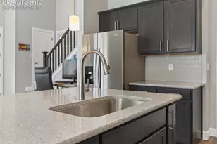 10007 Vervain View, Colorado Springs, CO 80924 - Photo 9