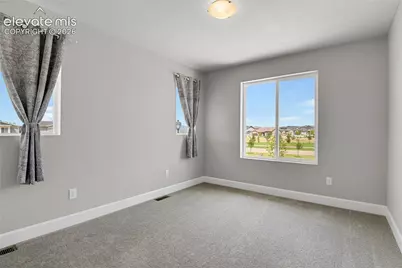 10007 Vervain View, Colorado Springs, CO 80924 - Photo 13