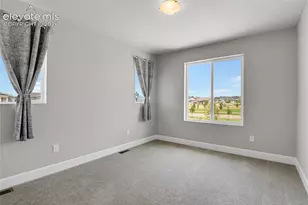 10007 Vervain View, Colorado Springs, CO 80924 - Photo 13