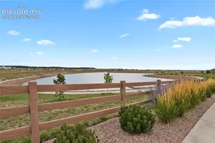 10007 Vervain View, Colorado Springs, CO 80924 - Photo 23