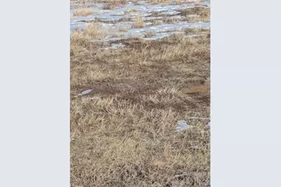10515 Currier Road, Calhan, CO 80808 - Photo 3