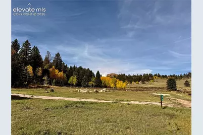 340 Forest Lane, Lake George, CO 80827 - Photo 43