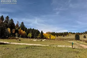 340 Forest Ln, Lake George, CO 80827 - Photo 43